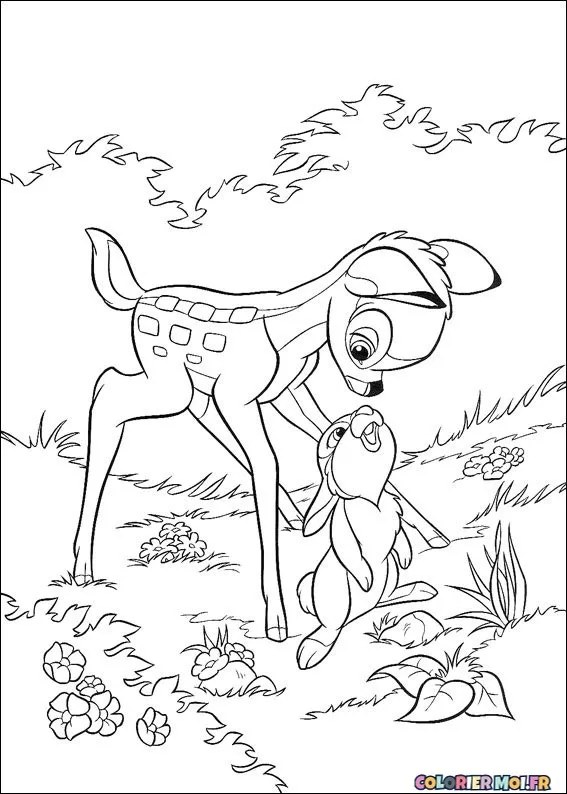 dessin de Bambi 18 à télécharger imprimer et colorier.