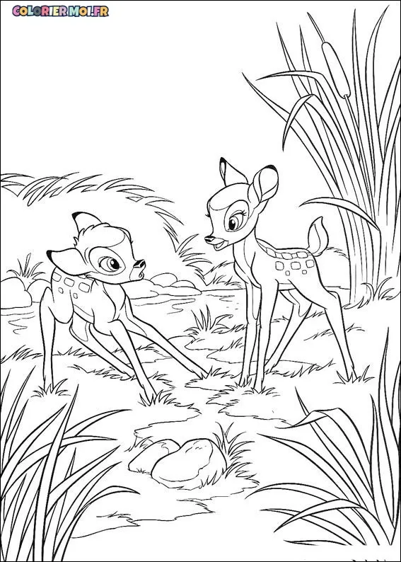 dessin de Bambi 20 à télécharger imprimer et colorier.