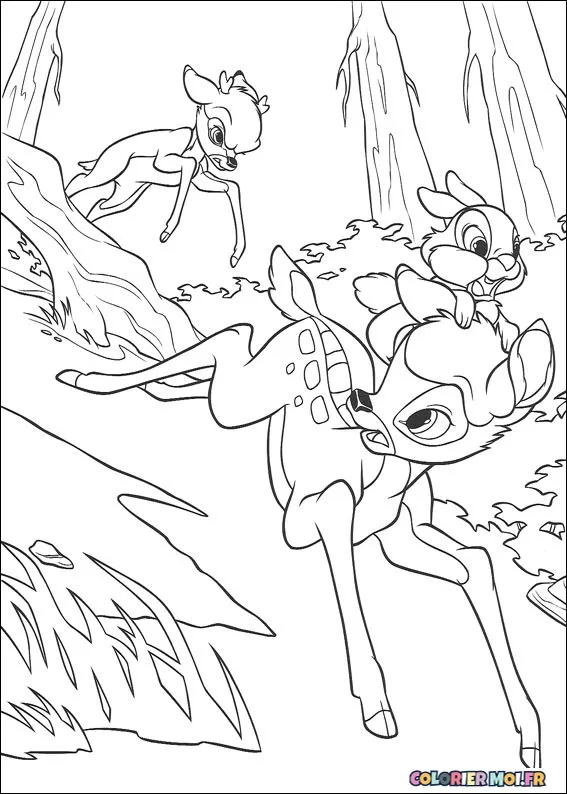 dessin de Bambi 2 09 à télécharger imprimer et colorier.