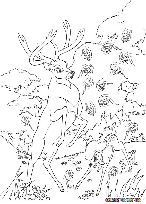 dessin de Bambi 2 13 à télécharger imprimer et colorier.