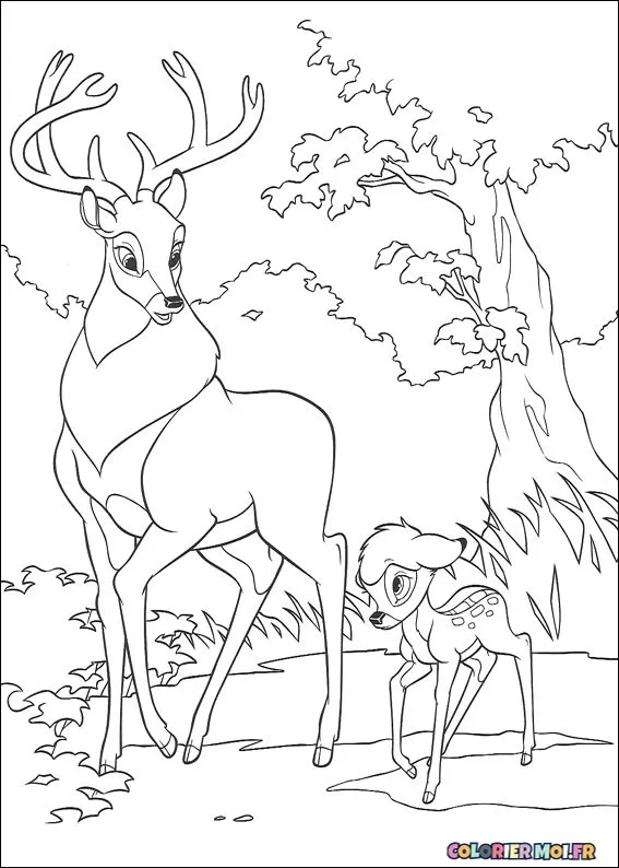 dessin de Bambi 2 15 à télécharger imprimer et colorier.