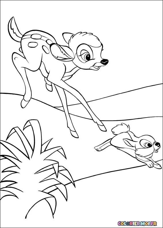 dessin de Bambi 2 30 à télécharger imprimer et colorier.