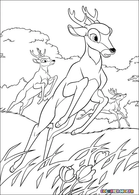 dessin de Bambi 2 45 à télécharger imprimer et colorier.