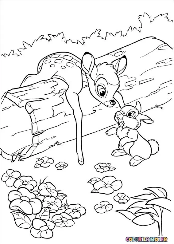 dessin de Bambi 2 53 à télécharger imprimer et colorier.