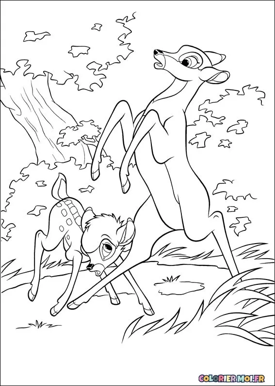 dessin de Bambi 2 57 à télécharger imprimer et colorier.