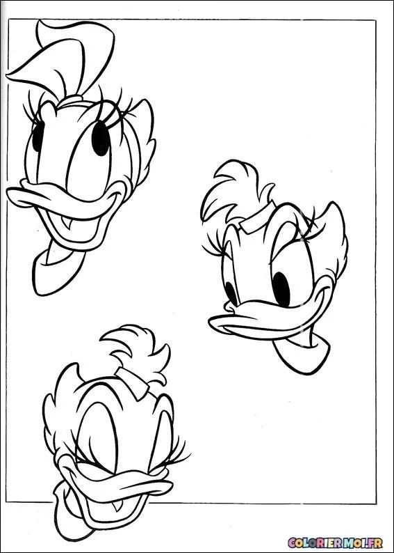 dessin de Donald 107 à télécharger imprimer et colorier.