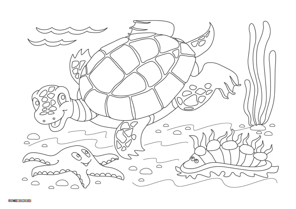 dessin de Tortues 07 à télécharger imprimer et colorier.